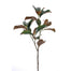 40" Magnolia Leaf - Green