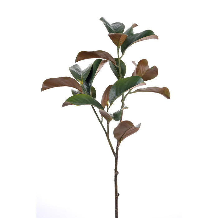 40" Magnolia Leaf - Green