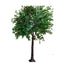 9' Banyan Tree - Green