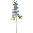 Delphinium Short Stem - Light Blue