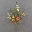 20" Daisy Poppy Euc Bush