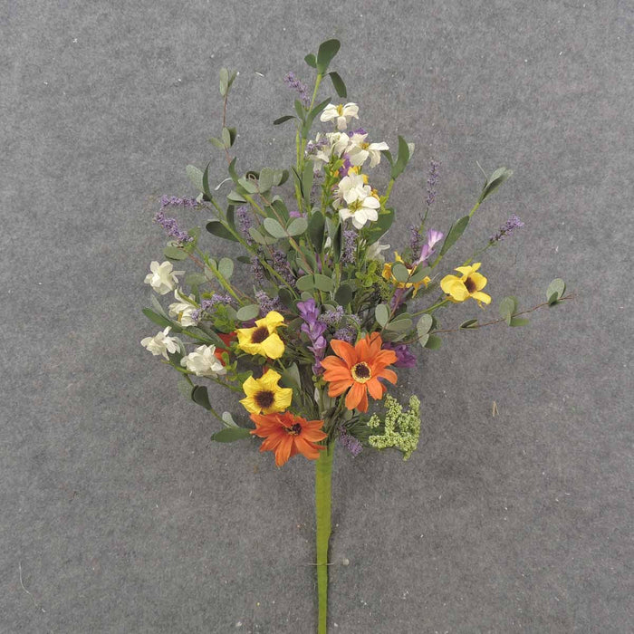 20" Daisy Poppy Euc Bush