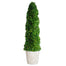 43" Preserved Spiral Topiary - Green