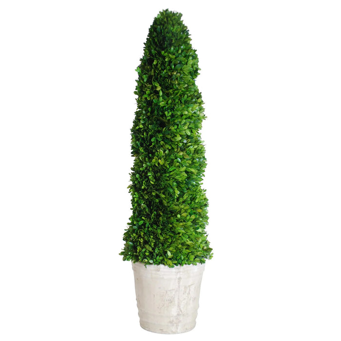 43" Preserved Spiral Topiary - Green