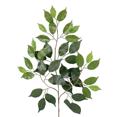 23" Ficus Spray - Green