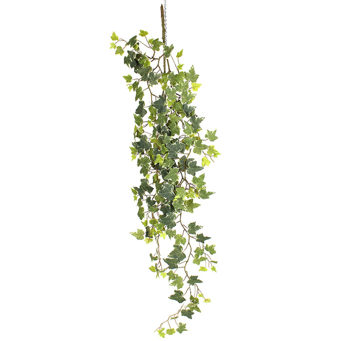 Traditional Ivy Vine Stem