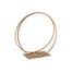 11 in Wire/Metal Double Circle Arrangement