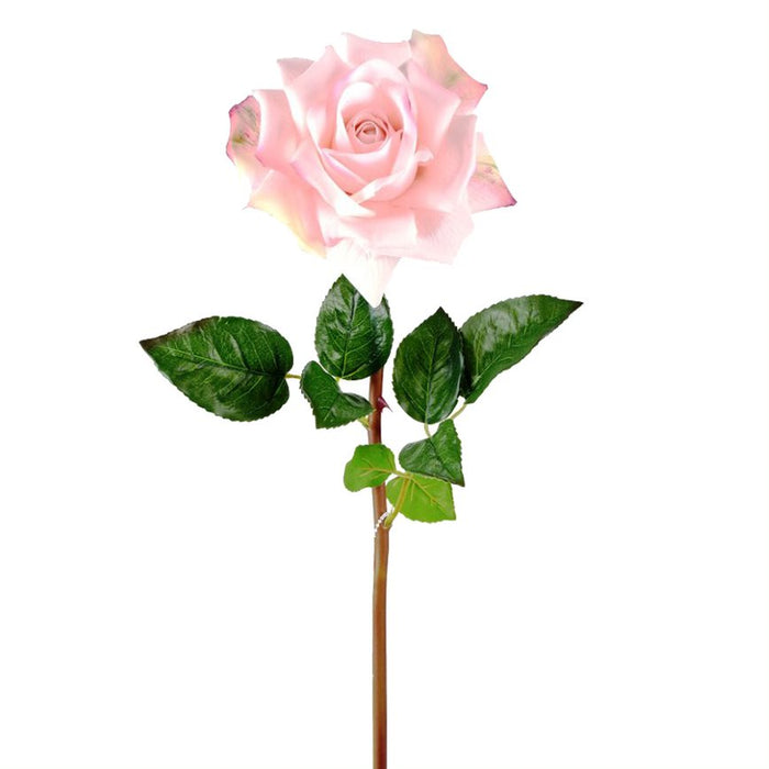 25" Fresh Touch Open Rose Stem - Blush
