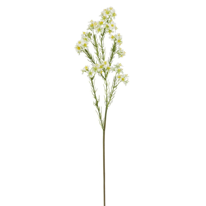 26" Wax Flower - White