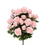 Grandiflora Rose Bush