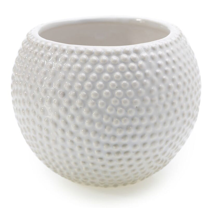 5 in Spotti Pot - White