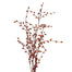 Pepperberry Upright