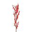 Ilex Berry Spray