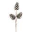 Pinecone Spray - Platinum
