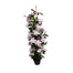 51 in Polyester Clematis Plant in Black Plastic Pot - Cream w/Purple Edge