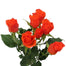 California Spray Rose Coral
