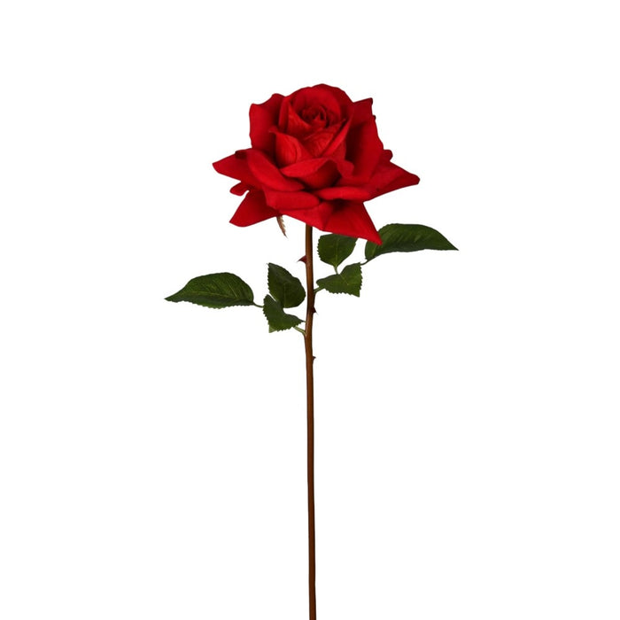 22 in Natural Stem Rose - Red