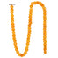 10 ft Natural Dried Grapefruit Garland