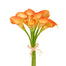 Calla Lily Bundle