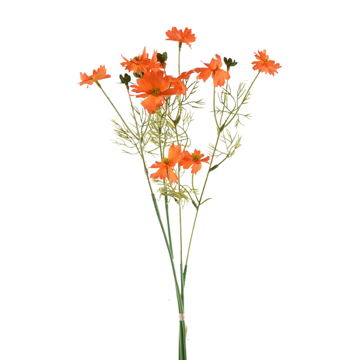 20" Cosmos Bundle - Orange