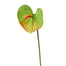 25.5" Anthurium Spray - Green