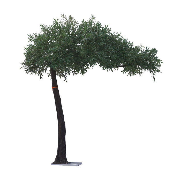 8.5' Banyan Welcome Tree - Green