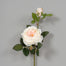 24 in Cabbage Rose Spray