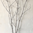 Bamboo Sprays