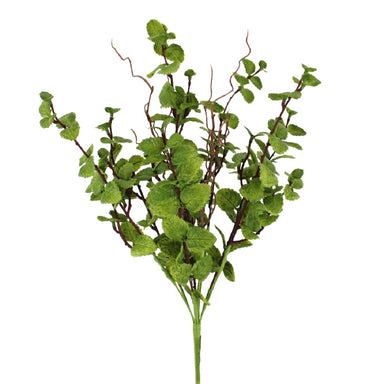 23 in Peppermint Leaves Bush - Green