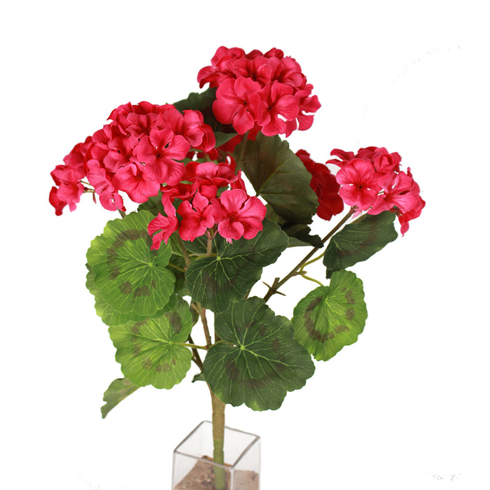 18" Geranium Bush