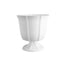 Tulip Design Compote