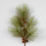 Long Needle Pine Spray