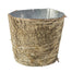 Birch Collection with Zinc