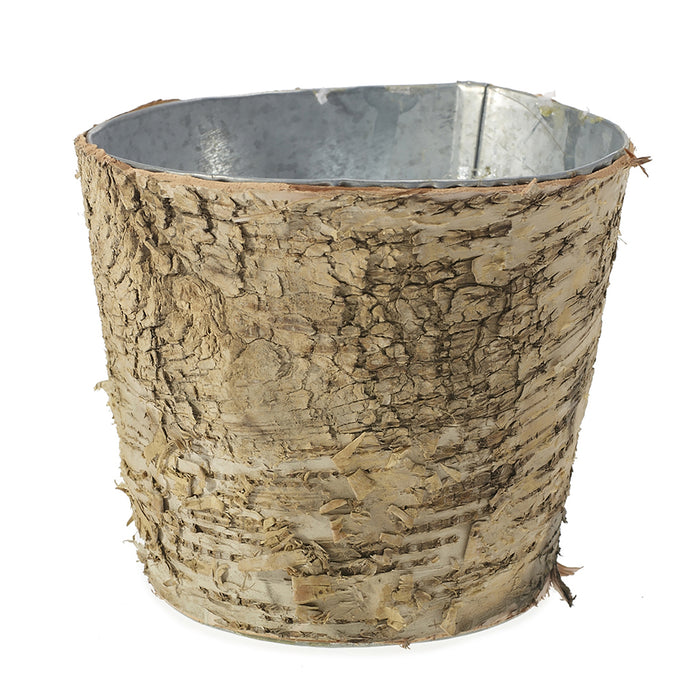 Birch Collection with Zinc