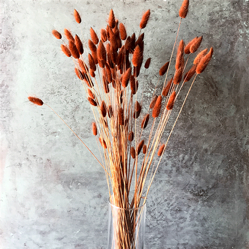 Bunny Tails - Chocolate