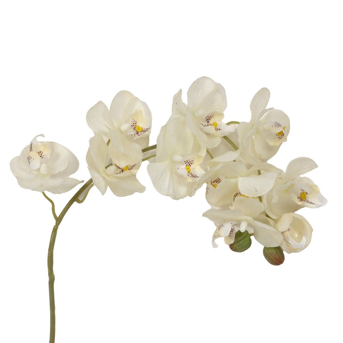 29 in Polyester Drooping Orchid - Ivory