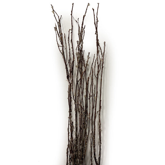 Birch Branches - Ice