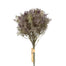 Misty Asparagus Fern Bundle - Purple