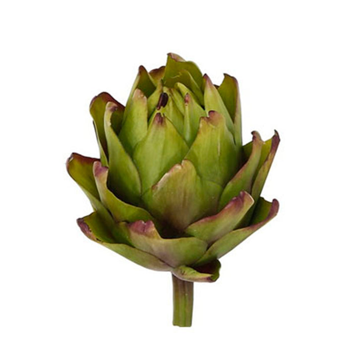 4 in Artichoke - Green/Purple