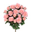 Grandiflora Rose Bush