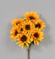 Sunflower Bush