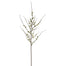 59.5" Peach Blossom - Bridal White