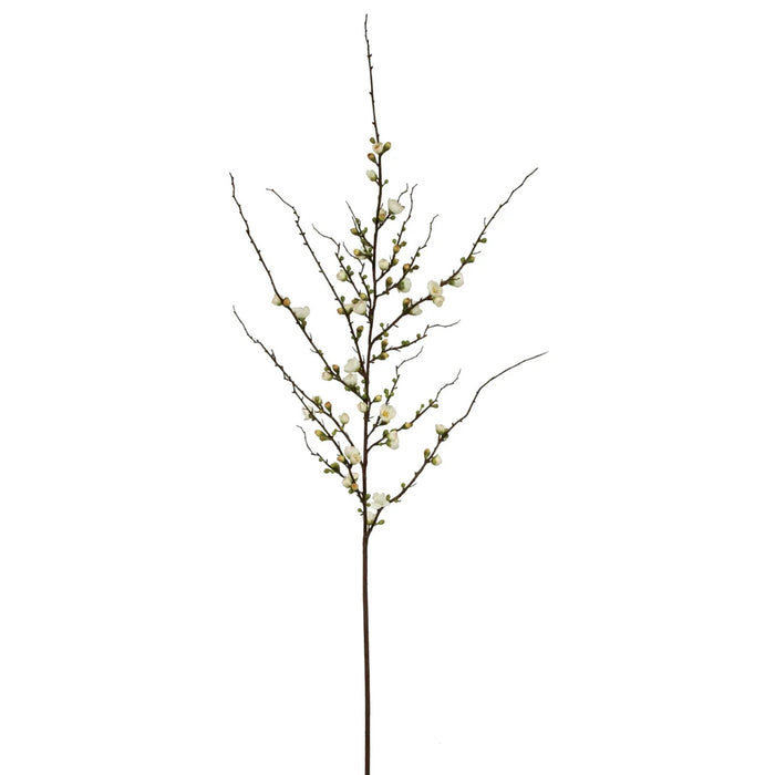 59.5" Peach Blossom - Bridal White