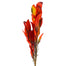 43" Magnolia Leaves Spray - Rust