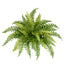 Polyester Boston Fern Bush