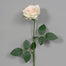 25" Sylvia Rose w/2 Sets of Leaves - Champagne