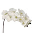 38" Polyester Phalaenopsis