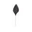 3" Atlantic Never Wilt Corsage Leaf - Black