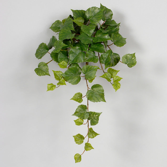 Vinyl Philo Bush Vine