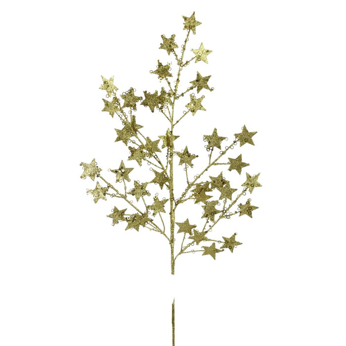 31 in Star Spray - Gold